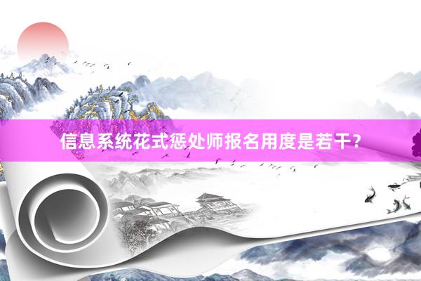 信息系统花式惩处师报名用度是若干？