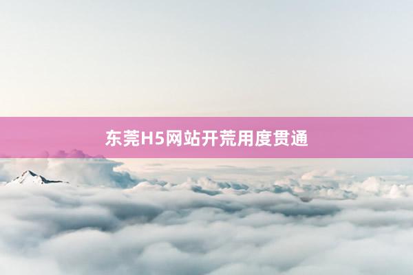 东莞H5网站开荒用度贯通