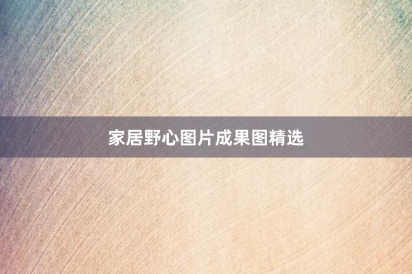 家居野心图片成果图精选